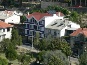 Отель Hotel Leder  Кочани